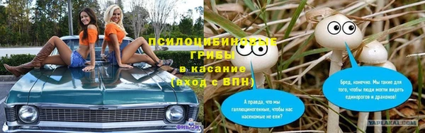 стафф Володарск